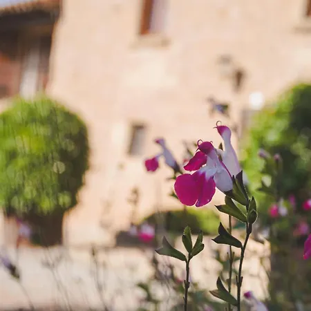 Casa de vacances Cal Terri Rural Perafita