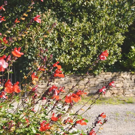 Cal Terri Rural Holiday home Perafita